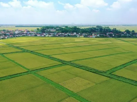 Chuyển đất nông nghiệp sang đất ở năm 2026: Tính tiền sử dụng đất thế nào?