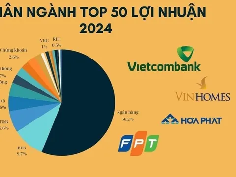 Top 50 Lợi Nhuận 2024: Ngân hàng và bất động sản thống trị, BSR, KBC, HAG, NVL 'biến mất' trong khi 2 công ty họ GELEX trỗi dậy