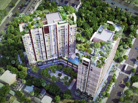 Nam Land - ông chủ Shizen Home bị phạt 92,5 triệu đồng và lâm vào cảnh nợ nần ngập đầu