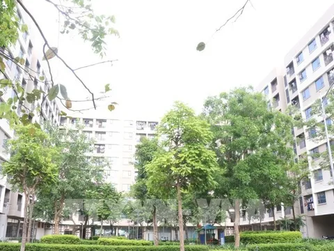 Năm 2026, diện tích nhà ở bình quân đạt 27 m²/người