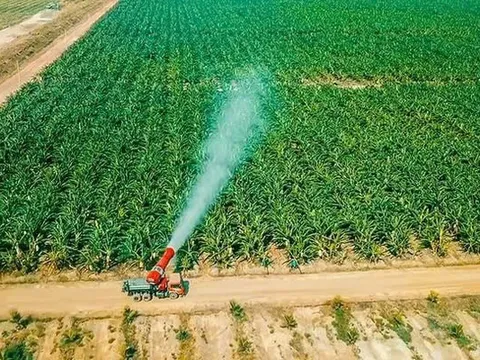 HAGL Agrico “dừng” bán dưới giá vốn sau chất vấn của cổ đông – Ông Trần Bá Dương nói gì về khoản lỗ lũy kế gần 9.500 tỷ?