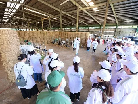 Trang trại Vinamilk Green Farm dưới lăng kính phát triển bền vững có gì đặc biệt?