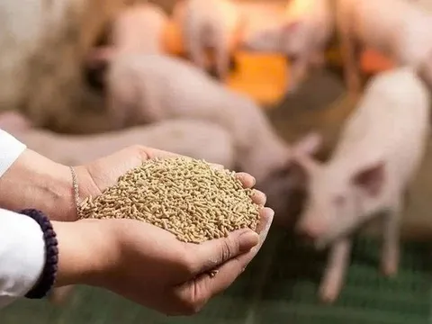 Bộ NN&MT đề nghị “gỡ rối” thuế VAT cho thức ăn và sản phẩm chăn nuôi
