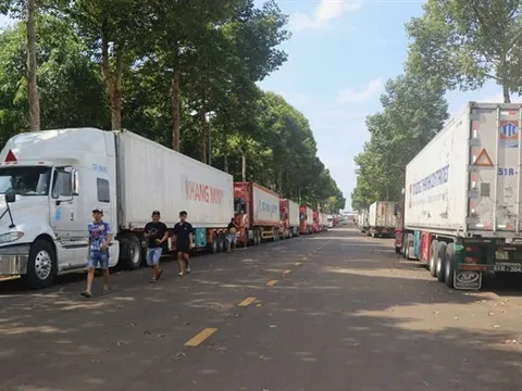 Hàng trăm xe sầu riêng nối đuôi chờ kiểm định, giá lao dốc mạnh khiến nông dân và doanh nghiệp đứng ngồi không yên