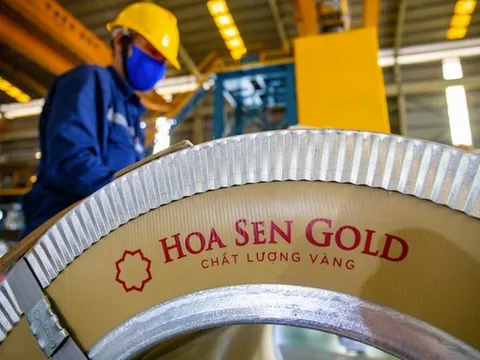 Hoa Sen chia cổ tức bằng cổ phiếu, tăng vốn điều lệ vượt 8.000 tỷ giữa lúc lợi nhuận lao dốc