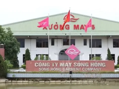 May Sông Hồng đổi “ghế nóng” Tổng Giám đốc: Nội bộ lên vai trò mới, CEO người Pháp tiếp quản