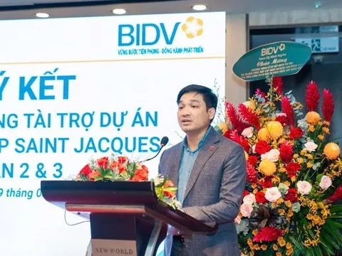 Áp lực margin: Gia đình Chủ tịch DIC Corp mất gần 12 triệu cổ phiếu DIG trong 2 phiên