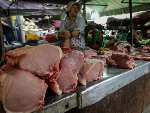 Giá thịt heo leo thang, đắt ngang thịt bò: Chợ truyền thống cũng “choáng”