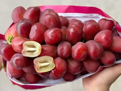 Nho “trái tim” Trung Quốc đổ bộ Việt Nam: Hơn nửa triệu đồng một chùm vẫn cháy hàng