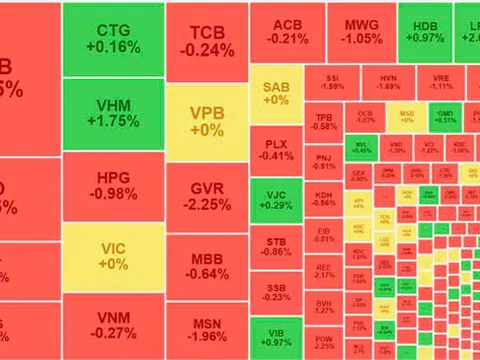 Thị trường chứng khoán 15/8: VN-Index mất gần 7 điểm lùi về 1.223 điểm, nhóm công nghệ đồng loạt giảm