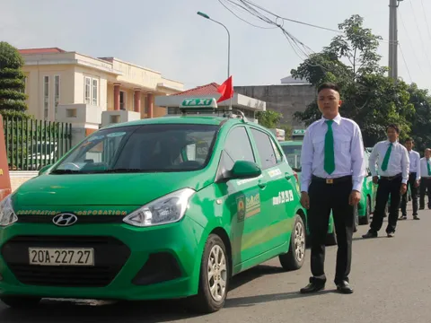 Từ “ông lớn taxi”, Mai Linh bị ngân hàng thu giữ loạt xe VinFast để xử lý nợ