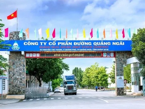 Đường Quảng Ngãi "ngọt không nổi": Lãi ròng lao dốc, tồn kho tăng gần gấp đôi!