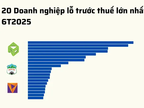 Top 20 doanh nghiệp lỗ nặng nhất 6 tháng 2025: BĐS áp đảo bảng xếp hạng, Logistics & Chứng khoán rớt sâu