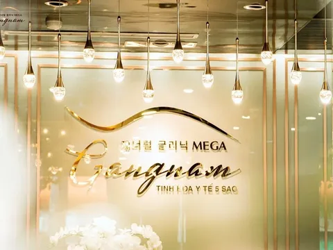 Phòng khám nổi tiếng Mega Gangnam bị phạt, buộc tháo biển hiệu giữa trung tâm Q.10