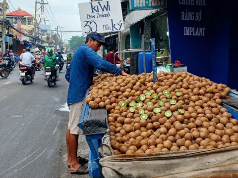 Kiwi xanh Trung Quốc rẻ như cho, bằng nửa hàng Australia – New Zealand