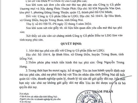 Công ty cổ phần đầu tư LDG Đồng Nai tuyên bố mở thủ tục phá sản, anh em mua dự án Giang Điền lại khóc ròng