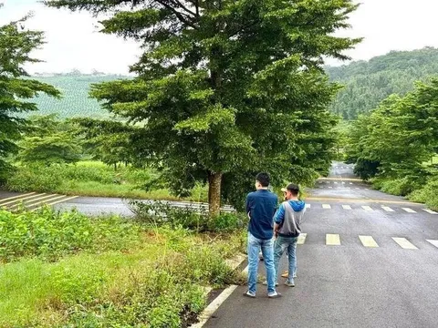 Đất nền Bảo Lộc thoát “đóng băng”: Đất nền bắt đầu nhúc nhích sau 3 năm lao dốc