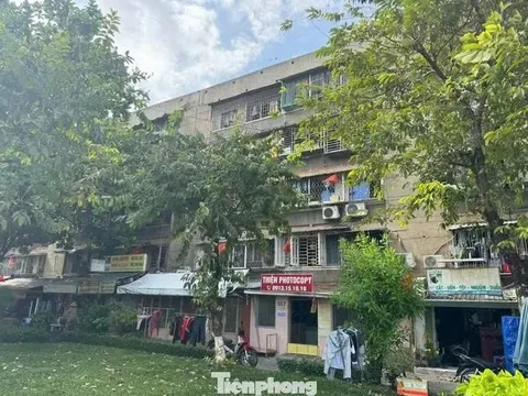 TP.HCM “thúc” cải tạo chung cư cũ: 16 khu nguy hiểm, hàng chục khu xuống cấp cần xử lý gấp