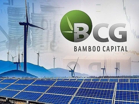 HOSE đình chỉ giao dịch cổ phiếu Bamboo Capital và Tracodi