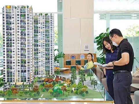“Không ai muốn giá nhà giảm”: Cuộc chơi ngầm giữa ngân hàng và doanh nghiệp BĐS