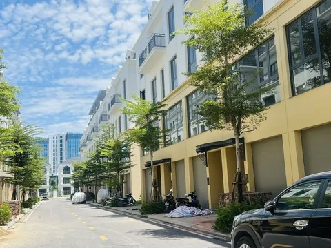 Diễn biến thú vị của thị trường địa ốc miền Nam cuối năm