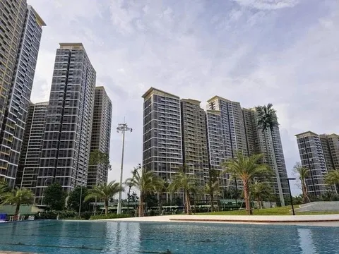 Ai đang mua căn hộ giá trăm triệu đồng/m², thậm chí 50 tỷ một căn?