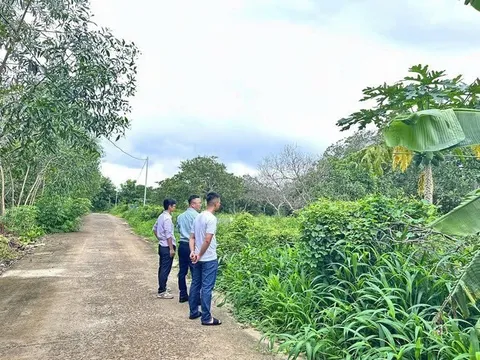 đầu tư đất vườn tỉnh: 5 năm “ôm bom”, nhà đầu tư mòn mỏi chờ ngày thoát hàng