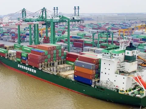 Viconship muốn thâu tóm Harbour City, chuẩn bị “ra quân” với dự án 6.000 m² tại Hải Phòng