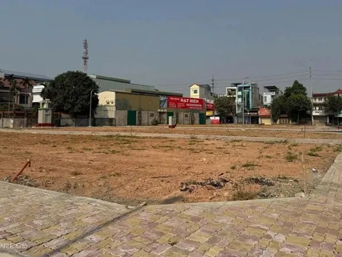 Đất đấu giá vùng ven Hà Nội lập đỉnh mới: 164 triệu đồng/m², gấp 14 lần khởi điểm