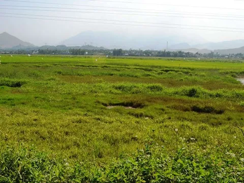 Đất bỏ hoang có thể bị đánh thuế cao hơn, nhưng dự án mắc pháp lý tính thế nào?