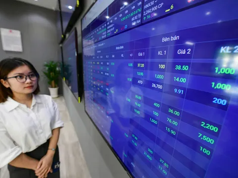 VN-Index đỏ lửa, nhưng cổ phiếu Hòa Phát, Hoa Sen bật tăng sau bão Yagi