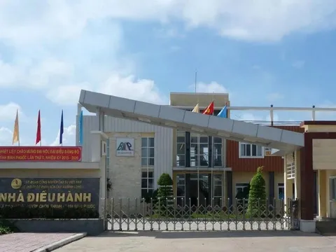 MH3 – công ty “kỳ lạ” bậc nhất sàn: Tiền mặt vượt vốn hóa, cổ phiếu lại ế ẩm