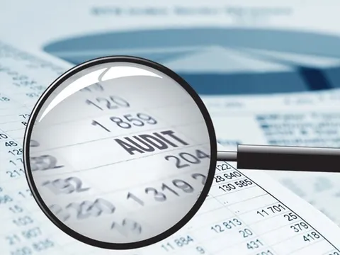 Dính loạt sai sót “khủng” tại BCTC Thanh Lễ (TLP), UBCKNN đình chỉ 2 kiểm toán viên Nhân Tâm Việt