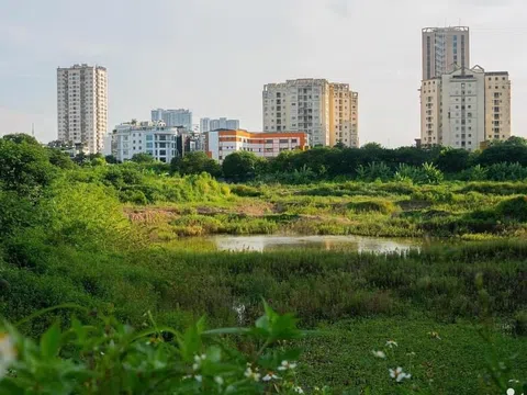 Khu Công viên - hồ điều hòa 1.600 tỷ đồng ngày càng hóa 'rừng' giữa Thủ đô