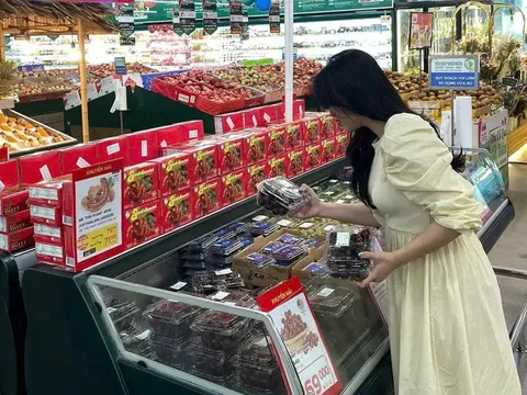 Cherry Mỹ "rớt giá kỷ lục", tràn ngập siêu thị Việt