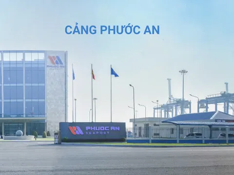 Cảng Phước An bị "tuýt còi" vì sai phạm chồng chất!