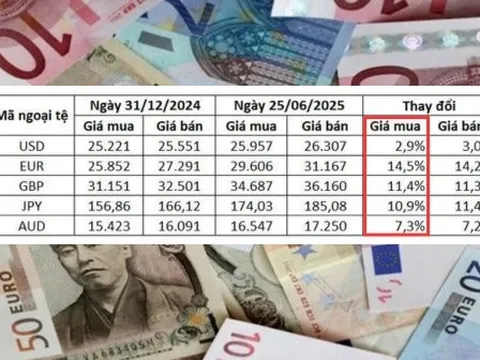 VNĐ liên tục mất giá so với USD và các đồng tiền khác. Chuyển gì đang xảy ra với tỷ giá?!