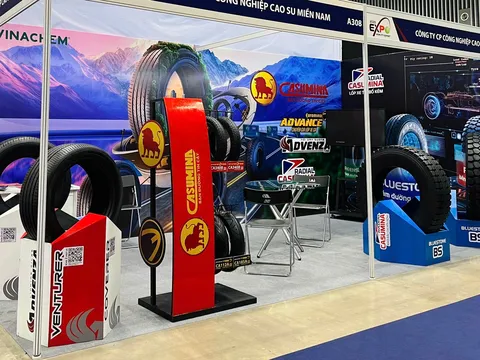 Casumina hụt chỉ tiêu 2025, lợi nhuận giảm sâu sau điều chỉnh kiểm toán