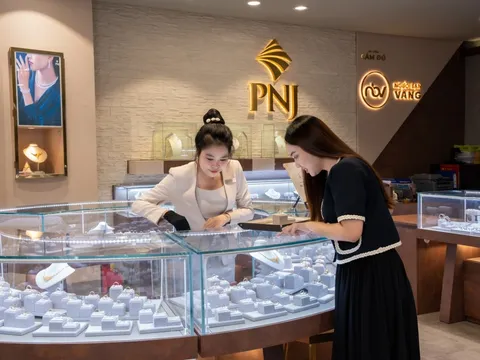 Sau sự cố liên quan kim cương, PNJ dự kiến lỗ hơn 6.000 tỷ và không chia cổ tức năm 2026