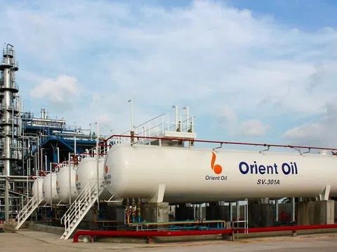 Orient Oil nợ thuế khủng hơn 760 tỷ, cựu Chủ tịch dính đại án Vạn Thịnh Phát!