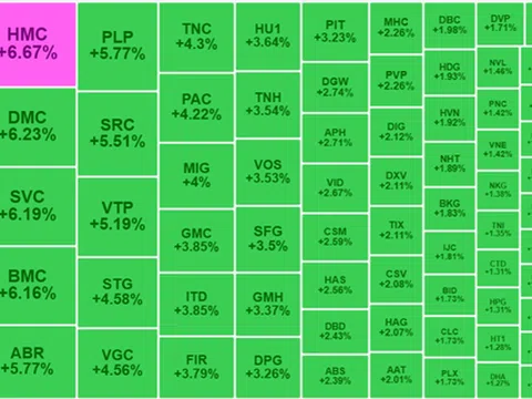 Phiên giao dịch đầu năm 2025: VN-Index "lấy hên" tăng nhẹ, nhưng không khí vẫn khá trầm lắng!