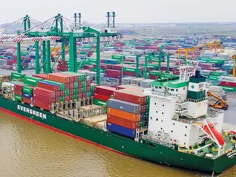 Lãi vay quý II gần gấp 3 lần, Viconship tiếp tục huy động 500 tỷ đồng trái phiếu để cơ cấu nợ