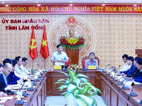 Lãnh đạo Lâm Đồng trực tiếp vào cuộc gỡ khó cho 7 dự án của Novaland