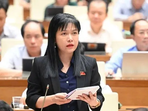 Trường tư né xử lý bạo lực học đường vì sợ mất... doanh thu?