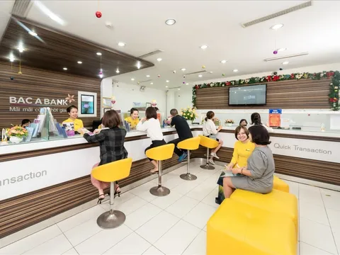 Bac A Bank lãi quý III giảm gần 47%, biên lãi thu hẹp, chi phí dự phòng rủi ro tăng gấp đôi