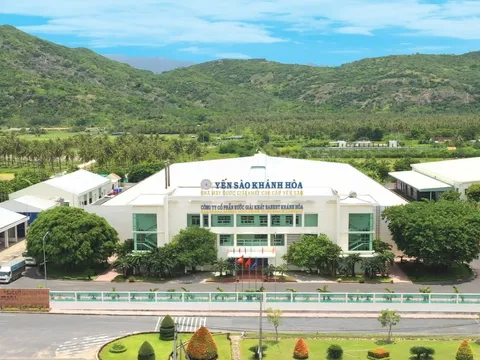 Yến sào Khánh Hòa: Doanh thu giảm, tồn kho phình to, vẫn còn gần 46 tỷ tiền lương chưa trả cho nhân viên