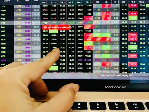 Đầu tư Châu Á – Thái Bình Dương bị phạt vì chậm công bố báo cáo tài chính kiểm toán
