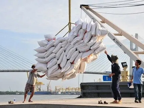 Phát hiện hàng loạt sai phạm ở doanh nghiệp xuất khẩu gạo
