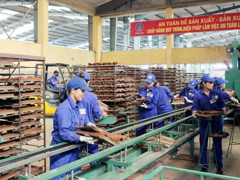 Viglacera Đông Triều lỗ lũy kế hơn 100 tỷ: 13 quý lỗ liên tiếp, vốn chủ âm sau 3 năm