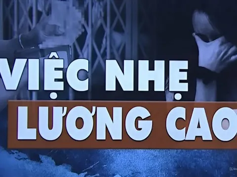 Nguy Cơ 'Việc Nhẹ Lương Cao': Lừa Đảo Mạng Cướp Cả Tỷ